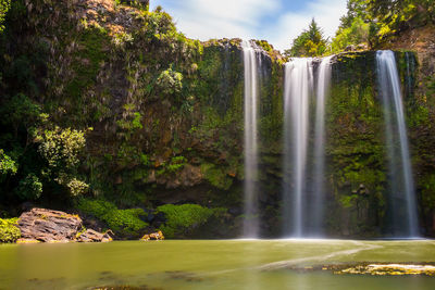 Scenic view of waterfall in forest