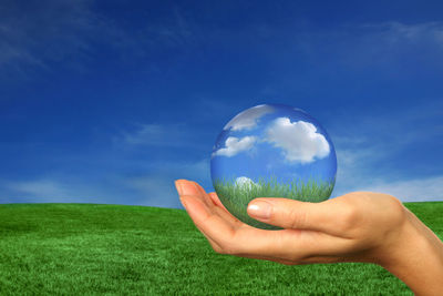 Cropped image of hand holding plant on field against sky