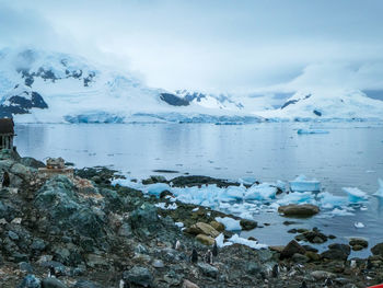 Antarctic landscape with penguins, sea, ice and mountains