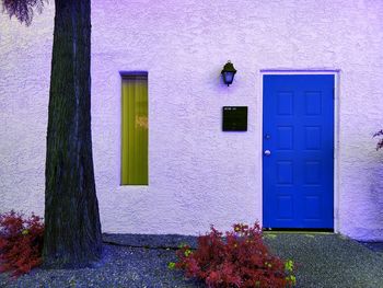 Closed door of building