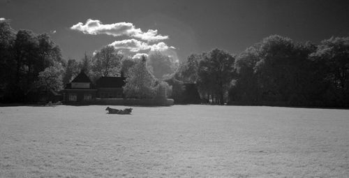 View of horse on snowy field against sky