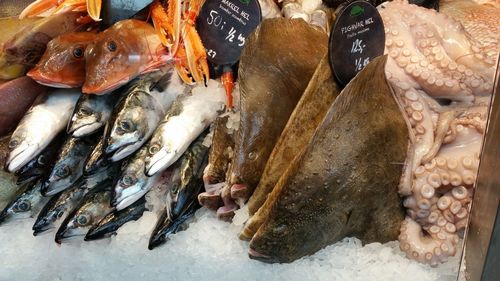 Seafood on ice for sale at store
