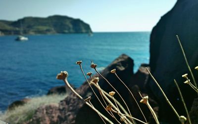 Scenic view of sea against clear sky