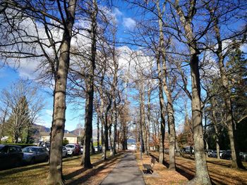 Road amidst trees in city against sky