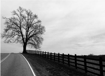 Road by bare tree against sky