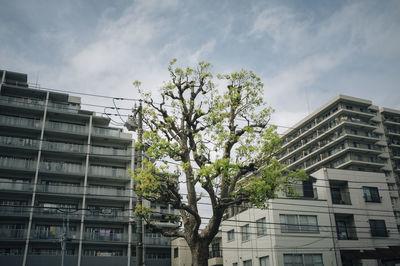 Low angle view of building against sky