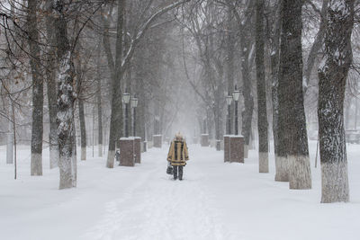 Rear view of person walking on snow covered footpath