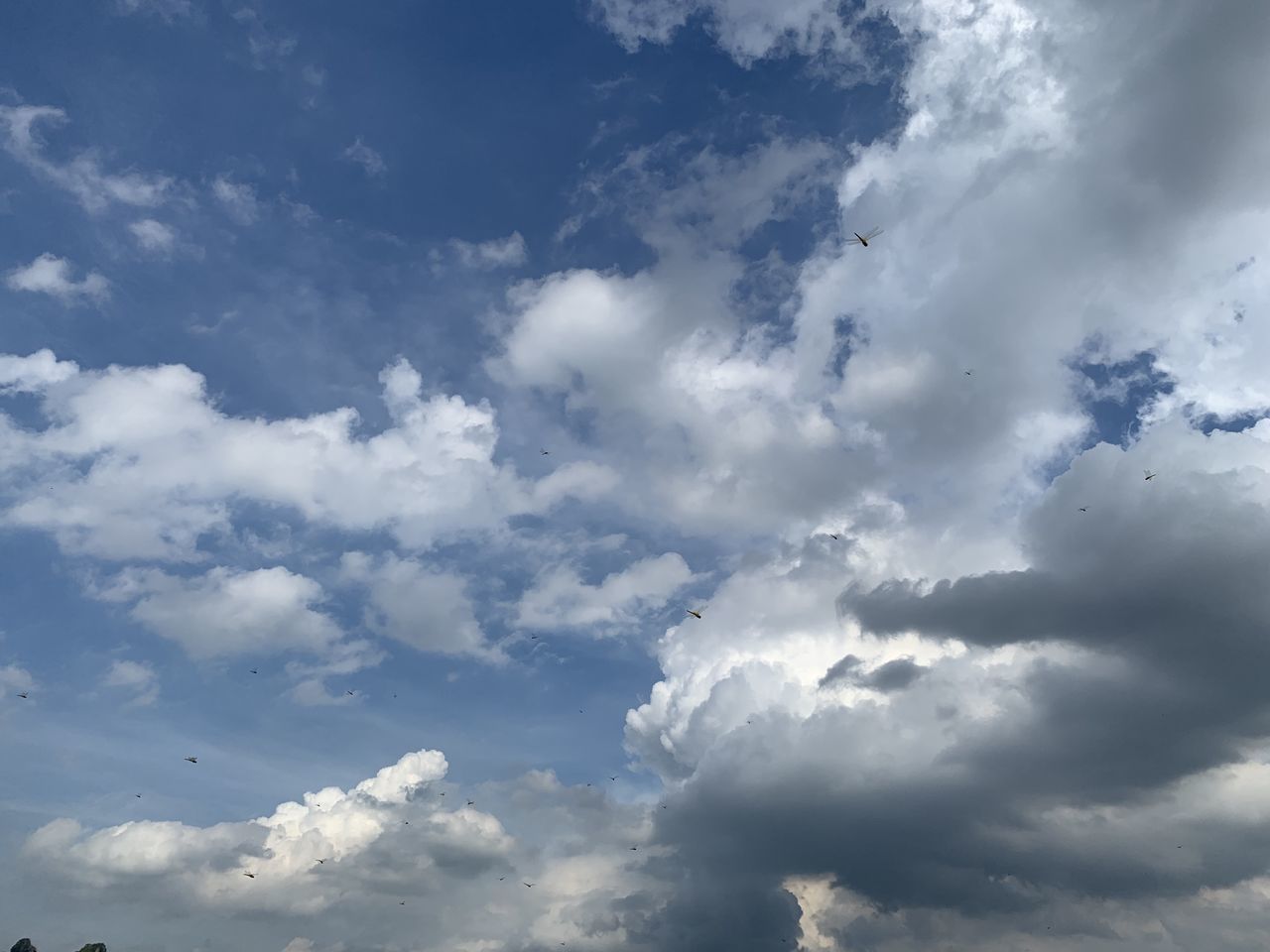 LOW ANGLE VIEW OF SKY