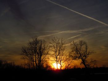 Silhouette trees against sky during sunset