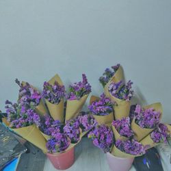Close-up of flowers