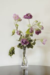 Close-up of pink wilted flowers in glass vase on table against white background