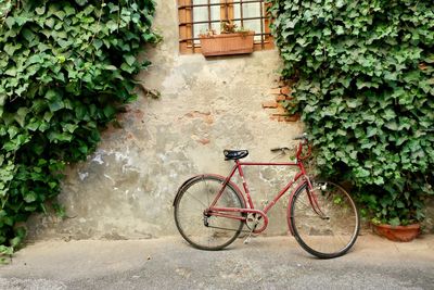 Bicycle against wall