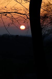 Close-up of silhouette bare tree against sunset sky