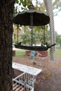 Close-up of swing hanging on tree trunk