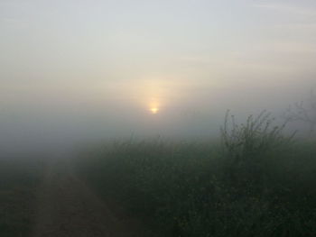 Scenic view of landscape against sky at sunset