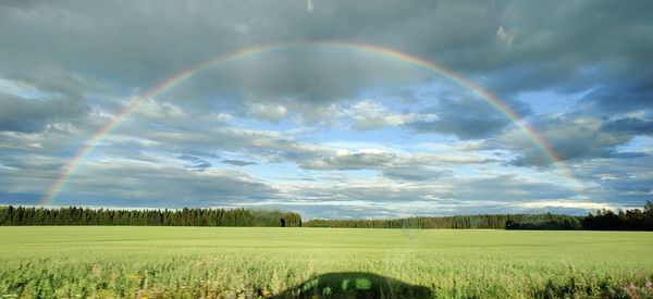 Scenic view of rainbow over field against sky