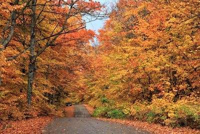 Road amidst trees during autumn