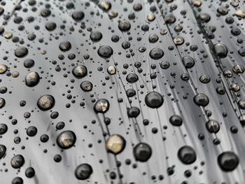 Full frame shot of water drops on metal