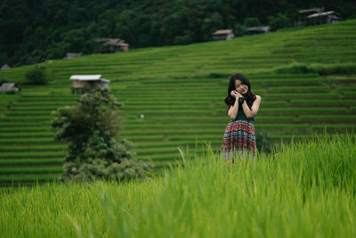 paddy field