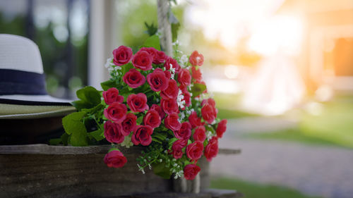 Close-up of pink flowering plant