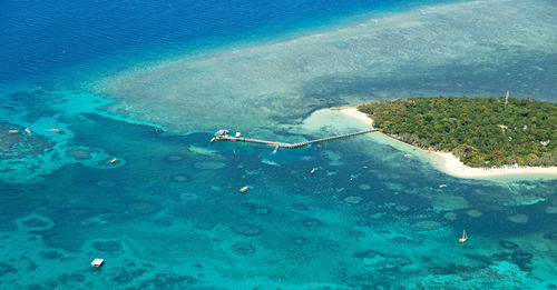 High angle view of person swimming in sea