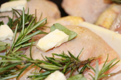 Close-up of food served in plate