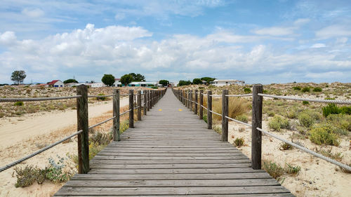 Narrow walkway along plants and trees against sky