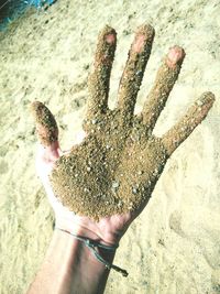 Close-up of young woman