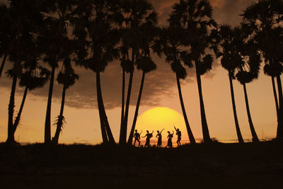 Silhouette palm trees against sky during sunset