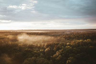 View of the horizon, sunset and forest in fog