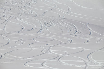 Multiple ski tracks in new powder snow