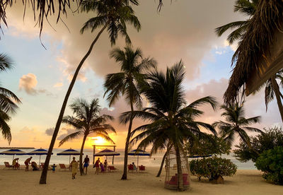 Palm trees on beach against sky during sunset