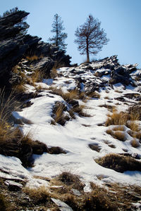 Scenic view of snow covered landscape