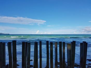 Wooden posts in sea against blue sky