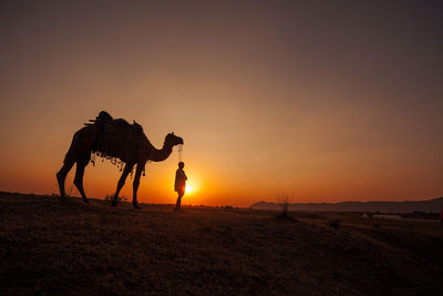 Man with camel on field against sky during sunset