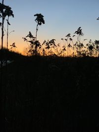 Silhouette trees on field against sky at sunset