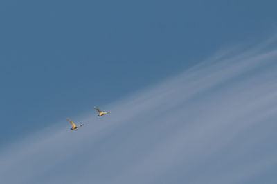 Low angle view of airplane flying against clear sky