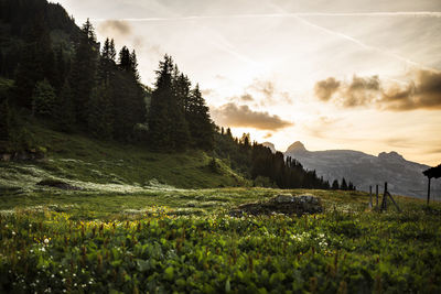 Scenic view of field and mountains against sky