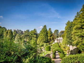 Panoramic view of trees and plants against sky