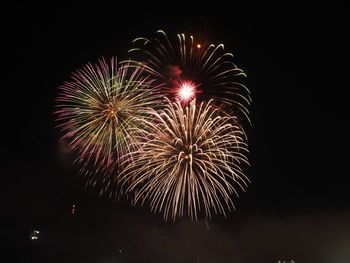 Low angle view of firework display at night