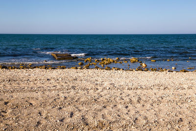 Beach against clear sky