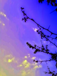 Low angle view of trees against cloudy sky