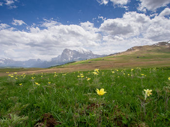 Scenic view of grassy field and mountains against cloudy sky