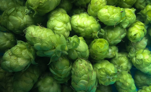 Full frame shot of vegetables