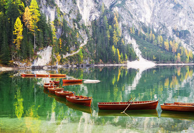 Scenic view of lake by trees