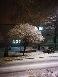 Snow covered road by trees in city at night