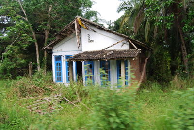 Abandoned house amidst trees in forest