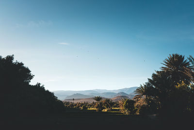 Silhouette trees on landscape against blue sky