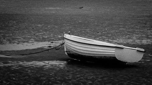 Boat moored on shore