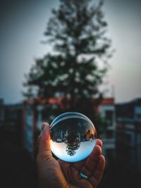 Close-up of hand holding crystal ball against tree